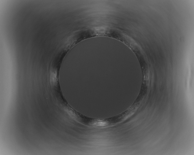 X0000110700610200906191529