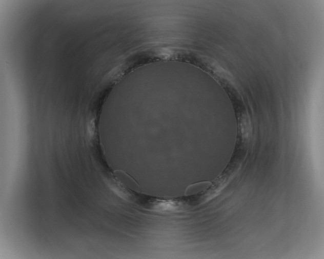 X0000110700611200906191529
