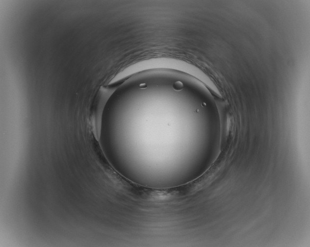 X0000110700613200906191529