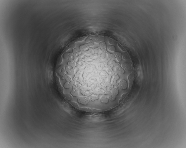 X0000110700615200906191529