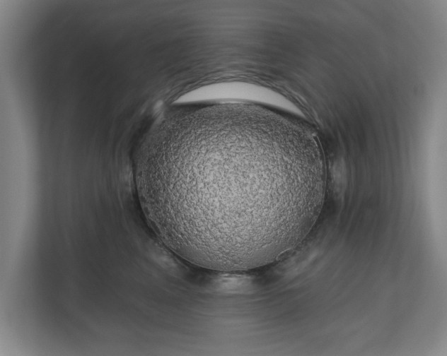 X0000110700617200906191529