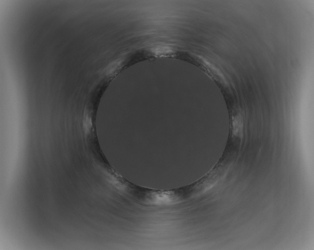 X0000110700618200906191529