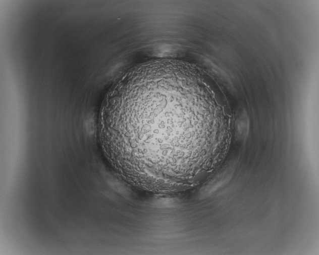 X0000110700620200906191529