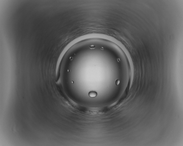 X0000110700621200906191529