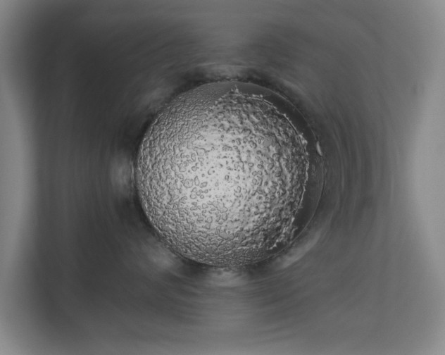 X0000110700624200906191528