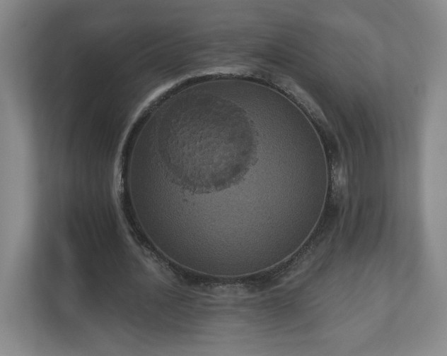 X0000110700628200906191528