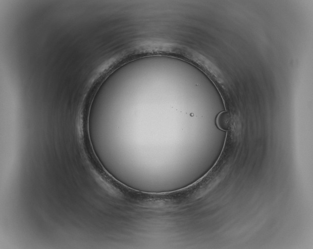 X0000110700629200906191528