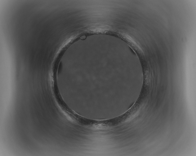 X0000110700634200906191528