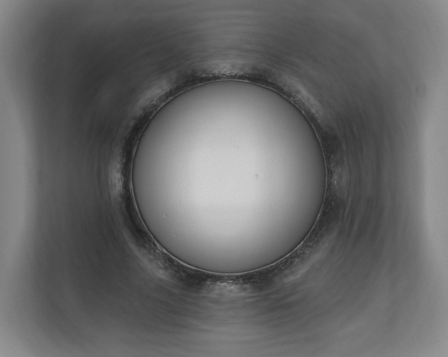 X0000110700635200906191528
