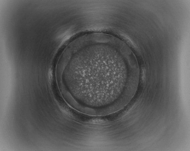 X0000110700636200906191528