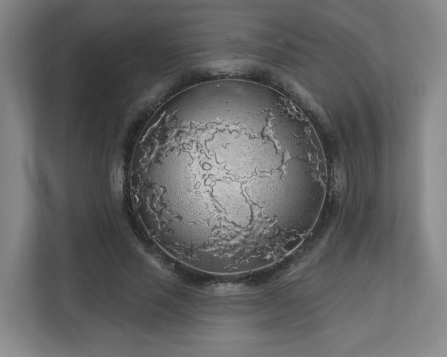X0000110700637200906191528