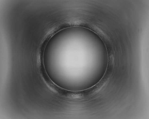 X0000110700638200906191528