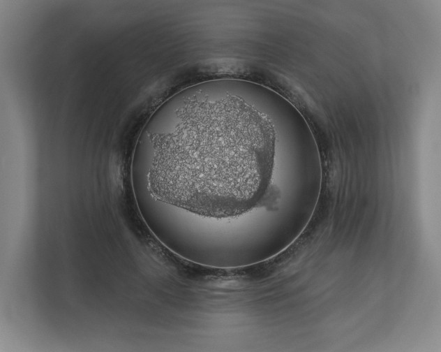 X0000110700643200906191528