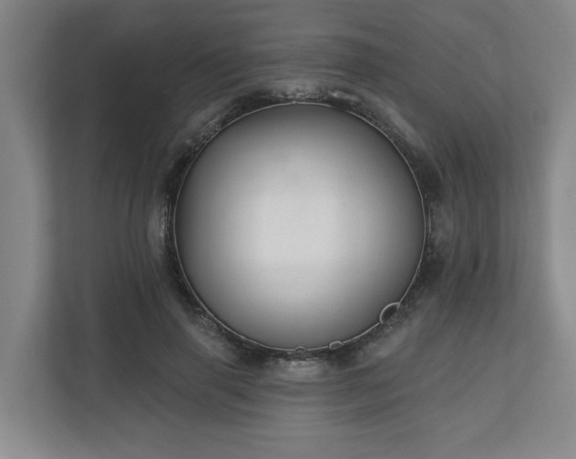 X0000110700645200906191528