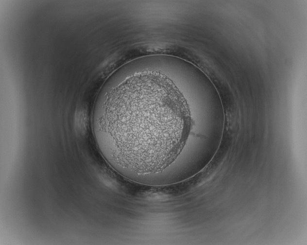X0000110700648200906191528