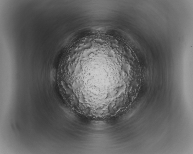 X0000110700649200906191528