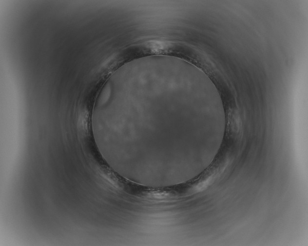 X0000110700650200906191528