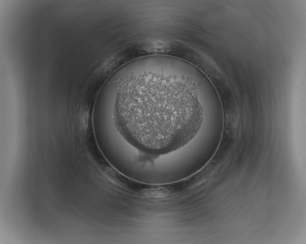 X0000110700652200906191528