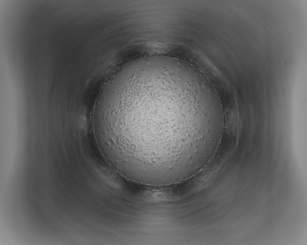 X0000110700655200906191528