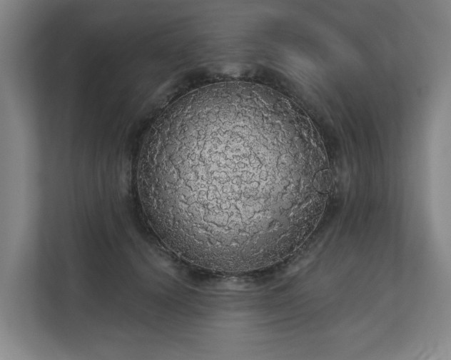 X0000110700656200906191528
