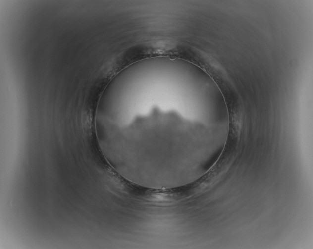 X0000110700657200906191528