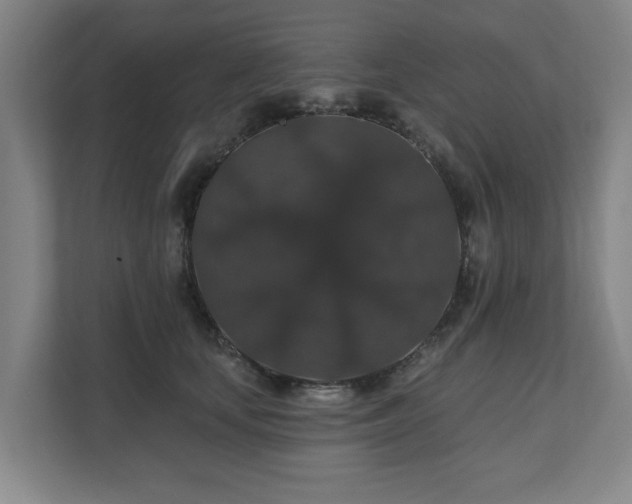 X0000110700659200906191528