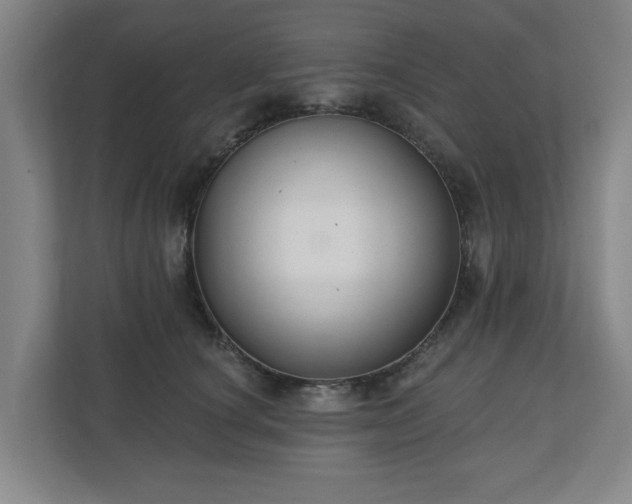 X0000110700660200906191528