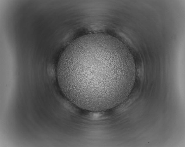 X0000110700662200906191528