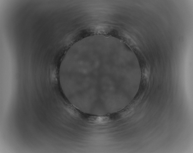 X0000110700663200906191528