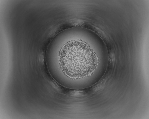 X0000110700664200906191528