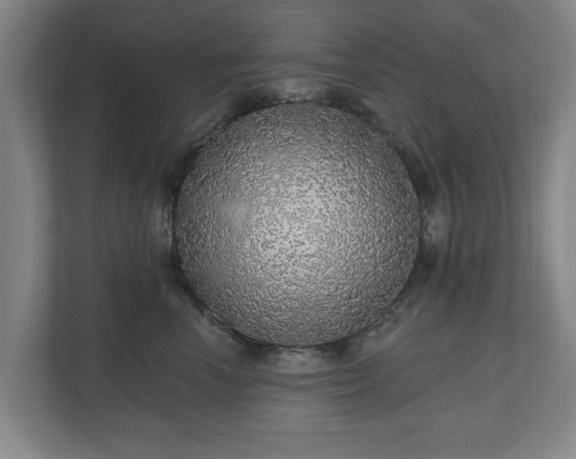 X0000110700666200906191528