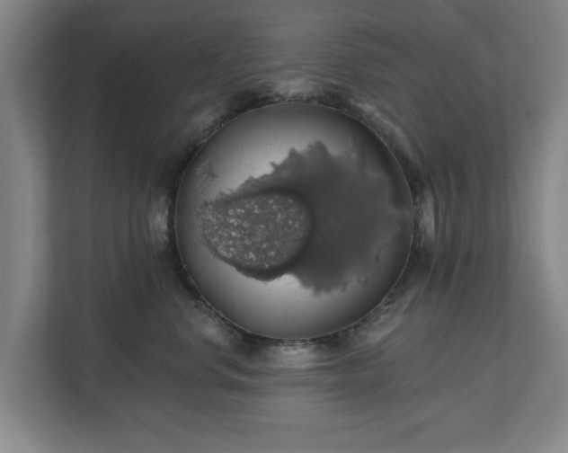 X0000110700668200906191528