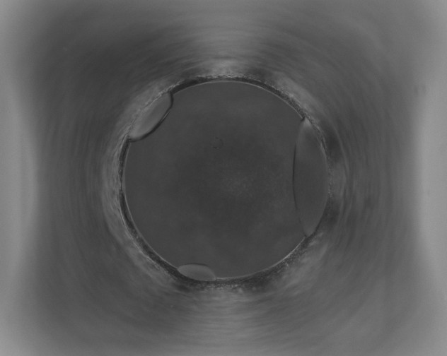 X0000110700673200906191528