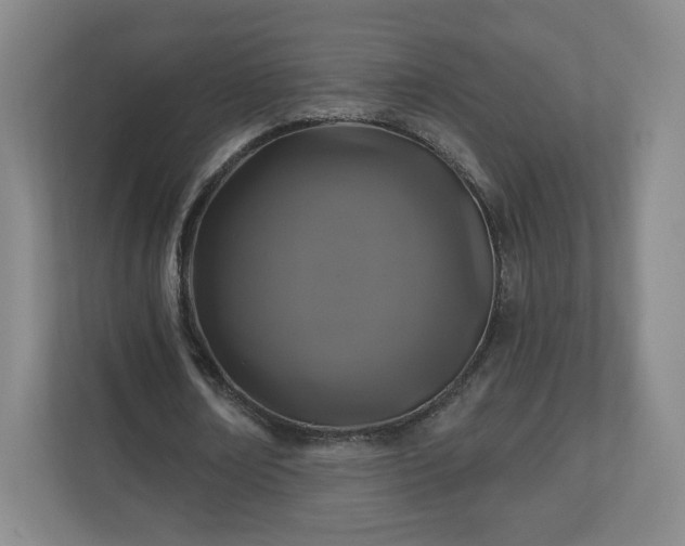 X0000110700674200906191528