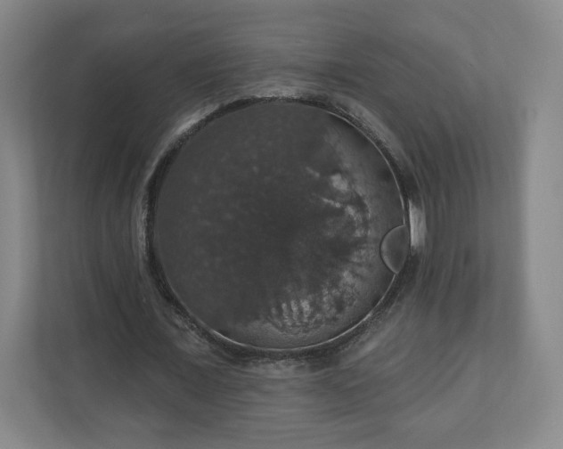 X0000110700675200906191528