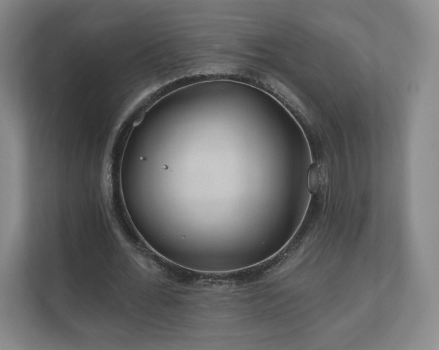 X0000110700676200906191528
