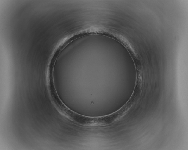 X0000110700678200906191528