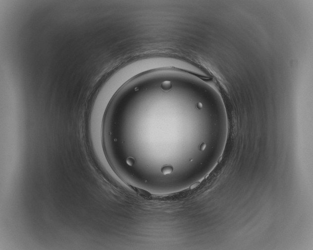 X0000110700681200906191528