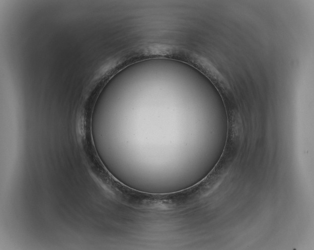 X0000110700683200906191528