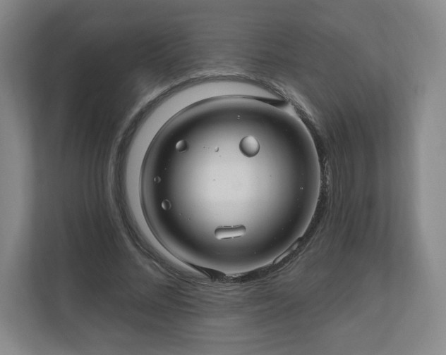 X0000110700684200906191528