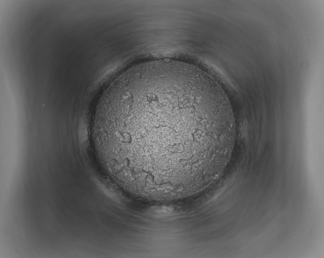 X0000110700687200906191528