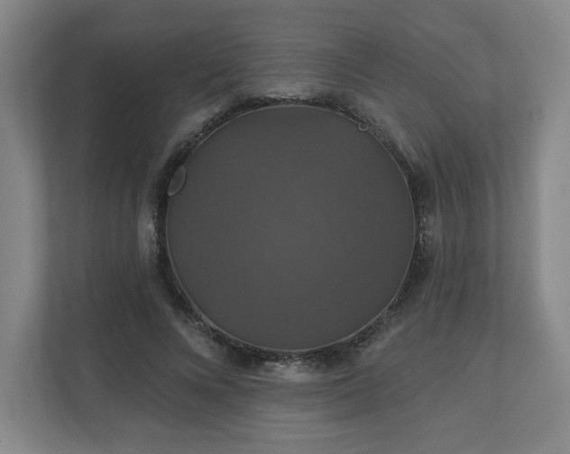 X0000110700688200906191528