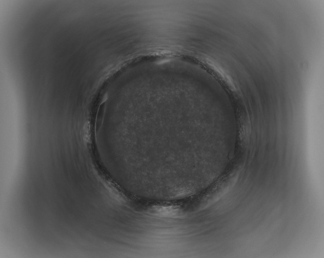 X0000110700689200906191528