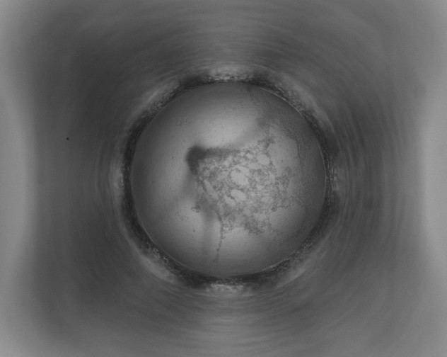 X0000110700690200906191528