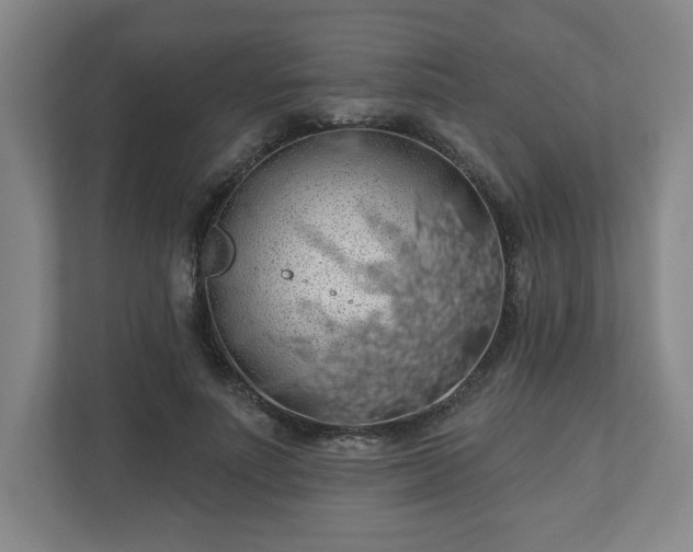 X0000110700691200906191528
