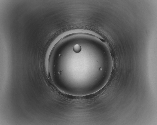 X0000110700693200906191528