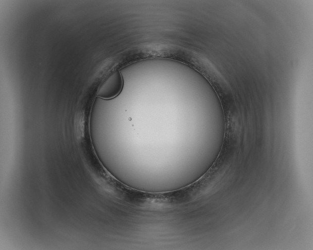X0000110700694200906191528