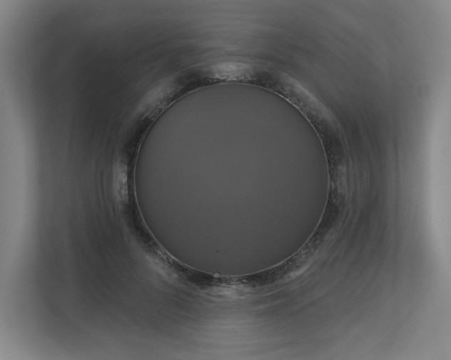 X0000110700696200906191528