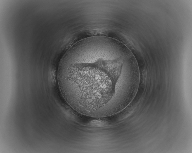 X0000110700699200906191528