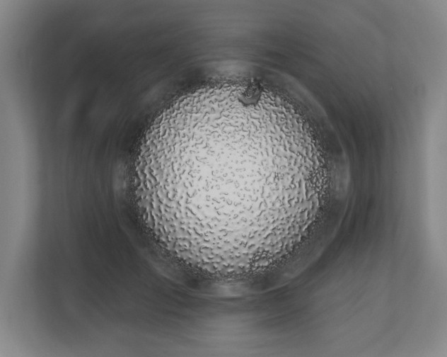 X0000110700701200906191527